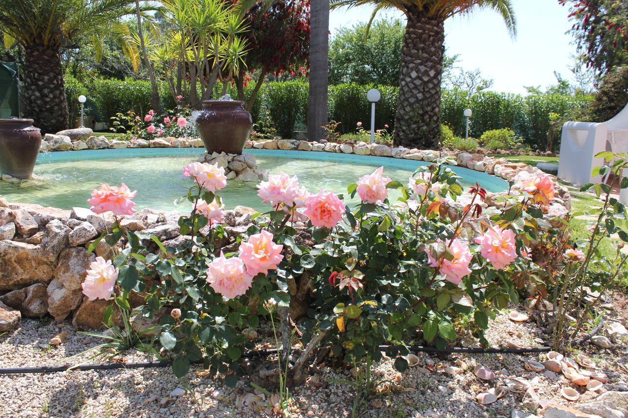 Quinta Dos Oliveiras Bed and breakfast Carvoeiro (Lagoa)